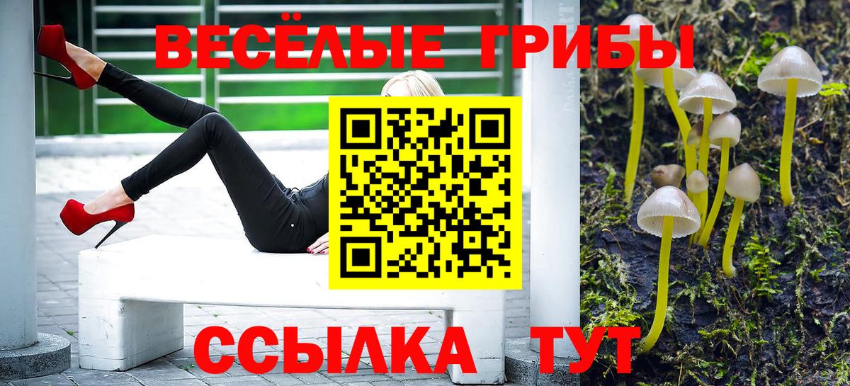 Псилоцибиновые грибы Psilocybe  Вход с VPN  Рыбинск 